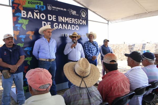 Desarrollo Agropecuario municipal realiza baño de inmersión a 400 cabezas de ganado en San Juan del Río 1 Desarrollo Agropecuario municipal realiza baño de inmersión a 400 cabezas de ganado en San Juan del Río