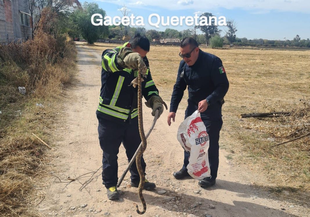 Fue atrapada por los bomberos