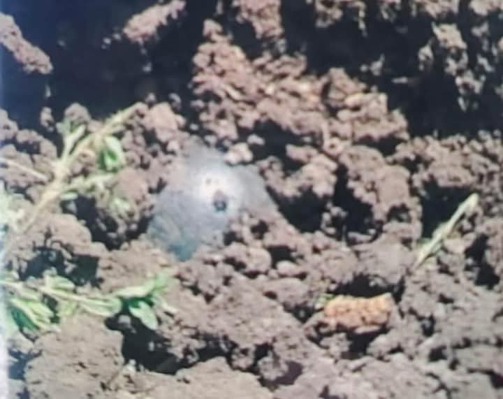¿Era un objeto que cayó del cielo o una botella que ya llevaba rato enterrada? 1 WhatsApp Image 2025 03 05 at 9.49.53 PM