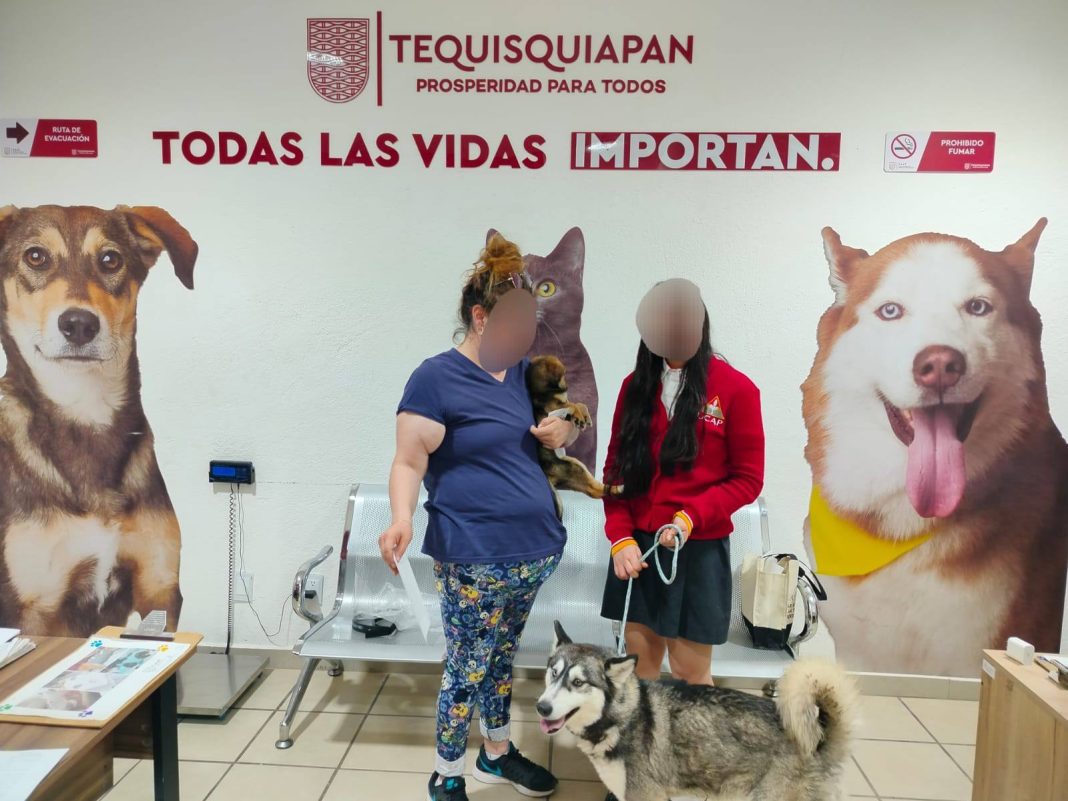Adoptar es amar en Tequisquiapan
