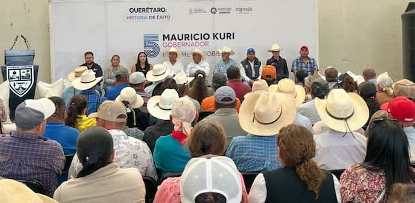 Apoya SEDEA con semilla para cultivos forrajeros en Huimilpan